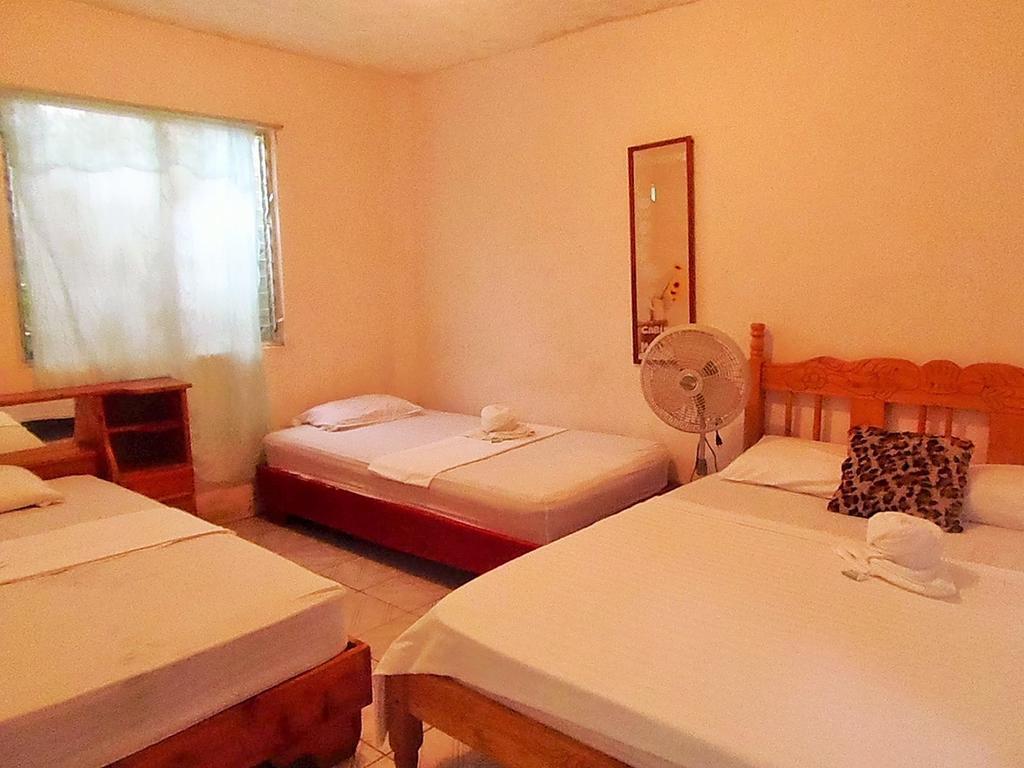 Cabinas El Muellecito トルトゥゲーロ エクステリア 写真
