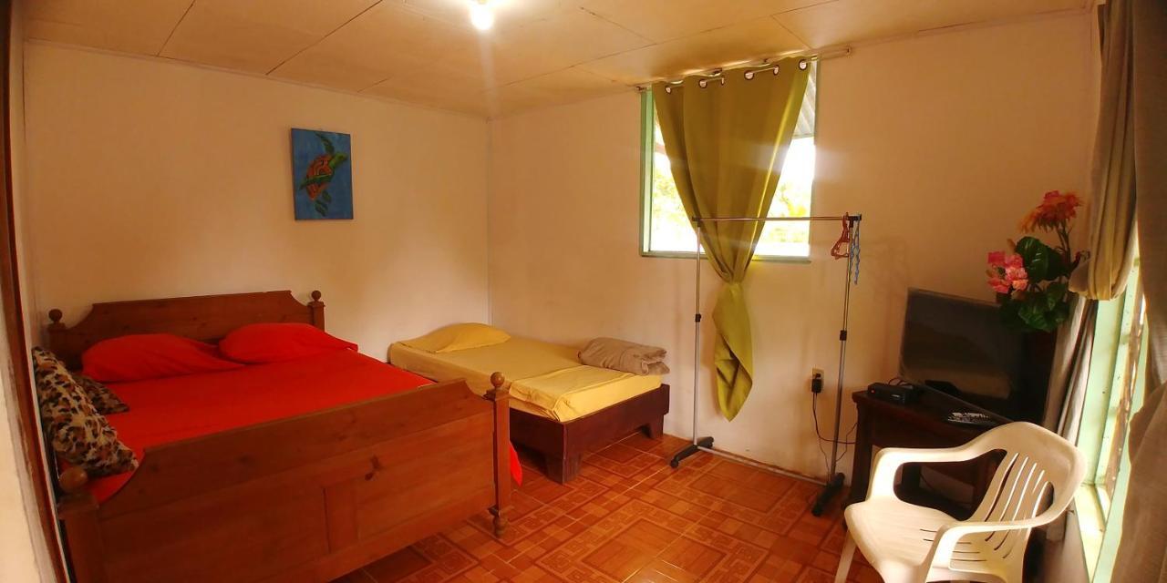 Cabinas El Muellecito トルトゥゲーロ エクステリア 写真